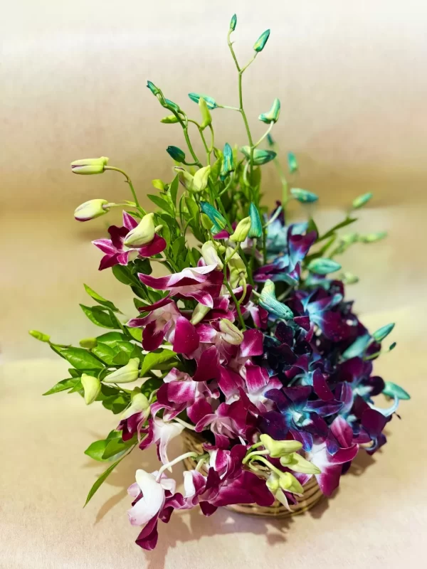 Elegant Dual-Tone Orchid Basket Arrangement