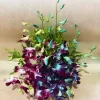 Elegant Dual-Tone Orchid Basket Arrangement