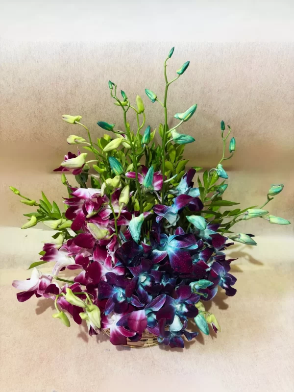 Elegant Dual-Tone Orchid Basket Arrangement