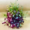 Elegant Dual-Tone Orchid Basket Arrangement