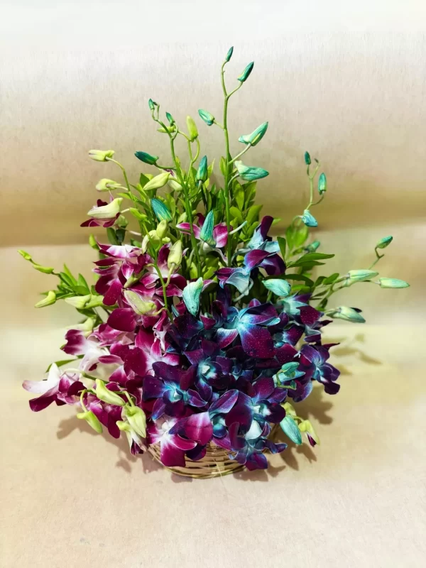 Elegant Dual-Tone Orchid Basket Arrangement