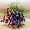 Elegant Dual-Tone Orchid Basket Arrangement
