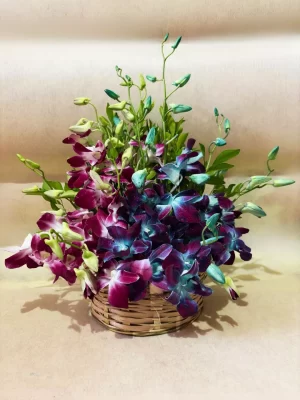 Elegant Dual-Tone Orchid Basket Arrangement