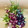 Elegant Dual-Tone Orchid Basket Arrangement