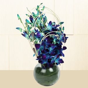 20 Blue Orchids in Designer Glass Vase