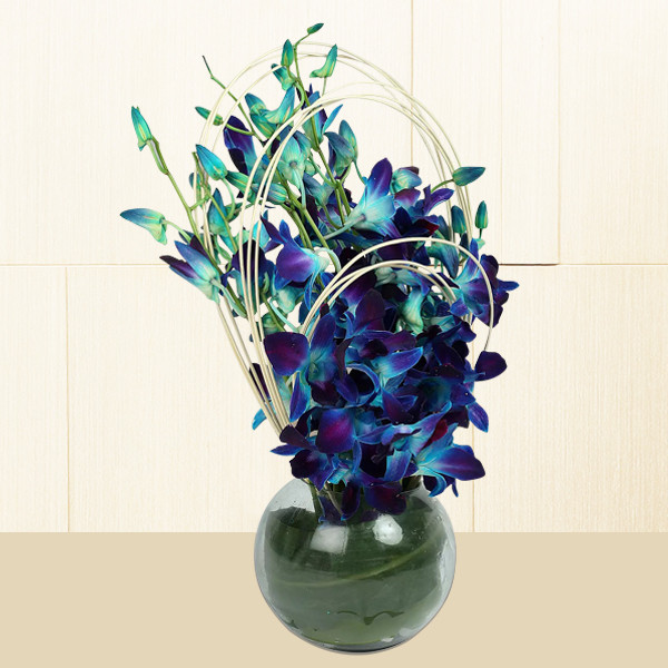 20 Blue Orchids in Designer Glass Vase