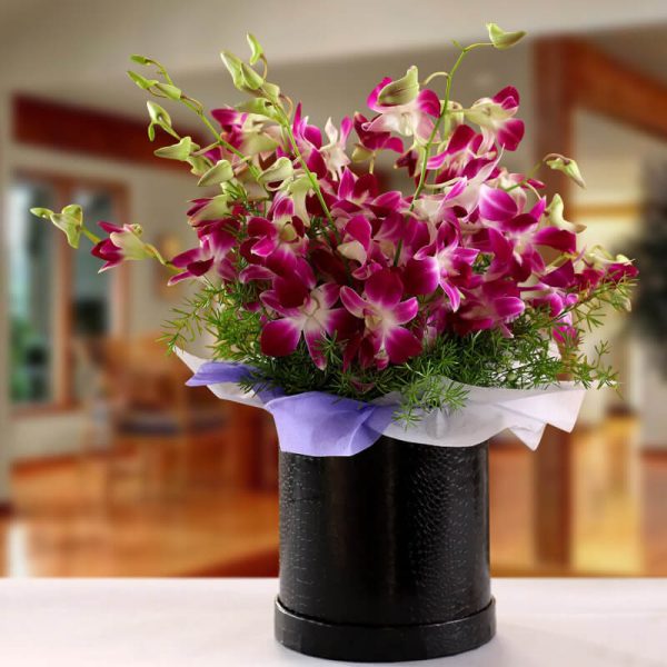 20 Purple Orchids Premium Black Box Arrangement