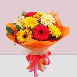 12 Mixed Color Gerbera Hand Bouquet