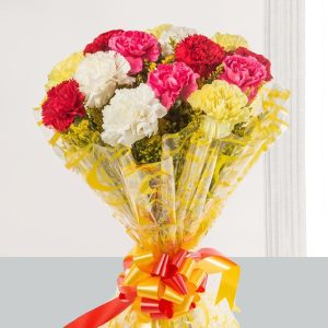 Mixed Carnations Bouquet