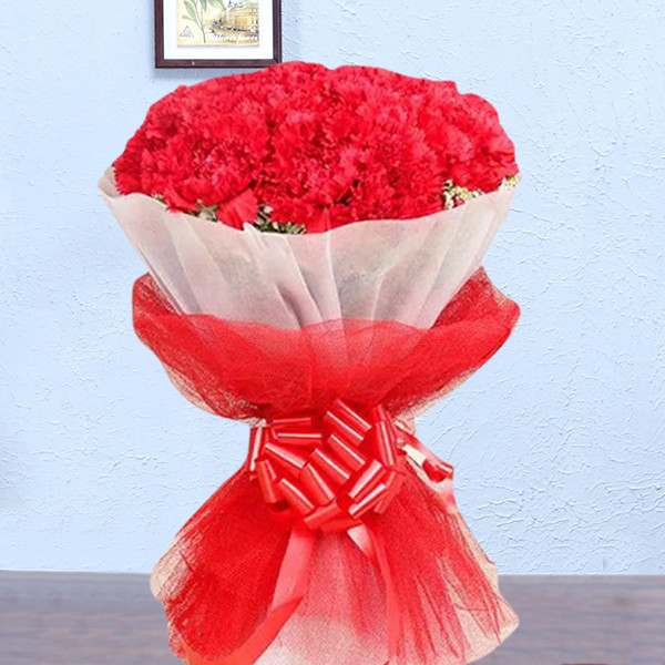 20 Red Carnations Bouquet