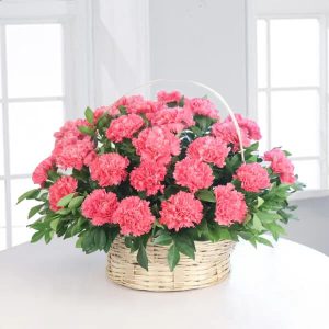 Pink Carnations in Decorative Basket Arrangement