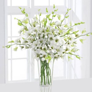Elegant White Orchids in Tall Glass Vase