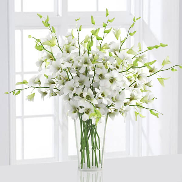 Elegant White Orchids in Tall Glass Vase