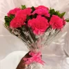12 Pink Carnations Hand Bouquet