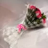 12 Pink Carnations Hand Bouquet