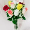 9 Mixed Color Roses Vase Arrangement