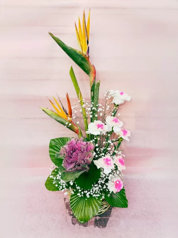 Exotic Bird Paradise Carnation Basket Arrangement