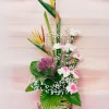 Exotic Bird Paradise Carnation Basket Arrangement
