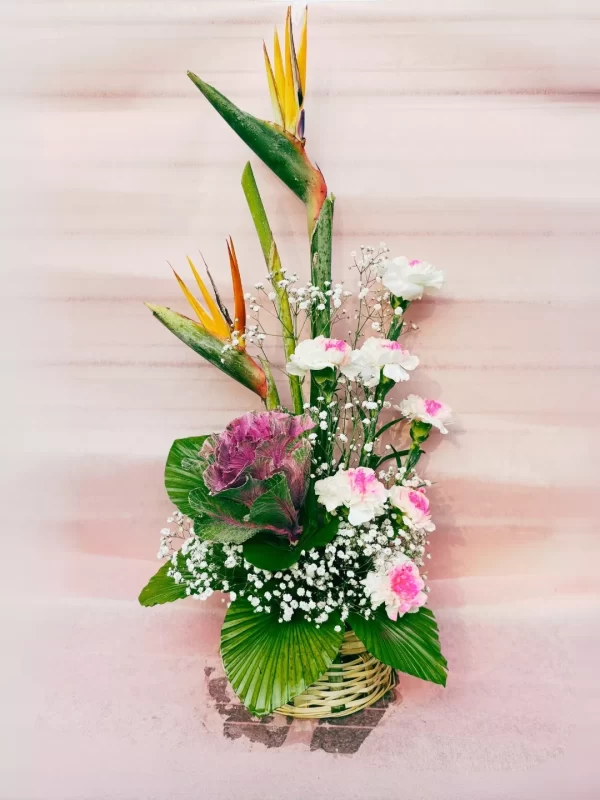 Exotic Bird Paradise Carnation Basket Arrangement