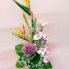 Exotic Bird Paradise Carnation Basket Arrangement