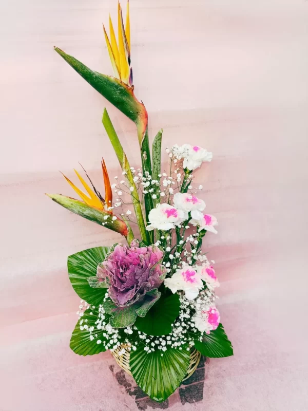 Exotic Bird Paradise Carnation Basket Arrangement