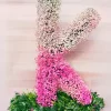 Pink White Baby’s Breath Letter K